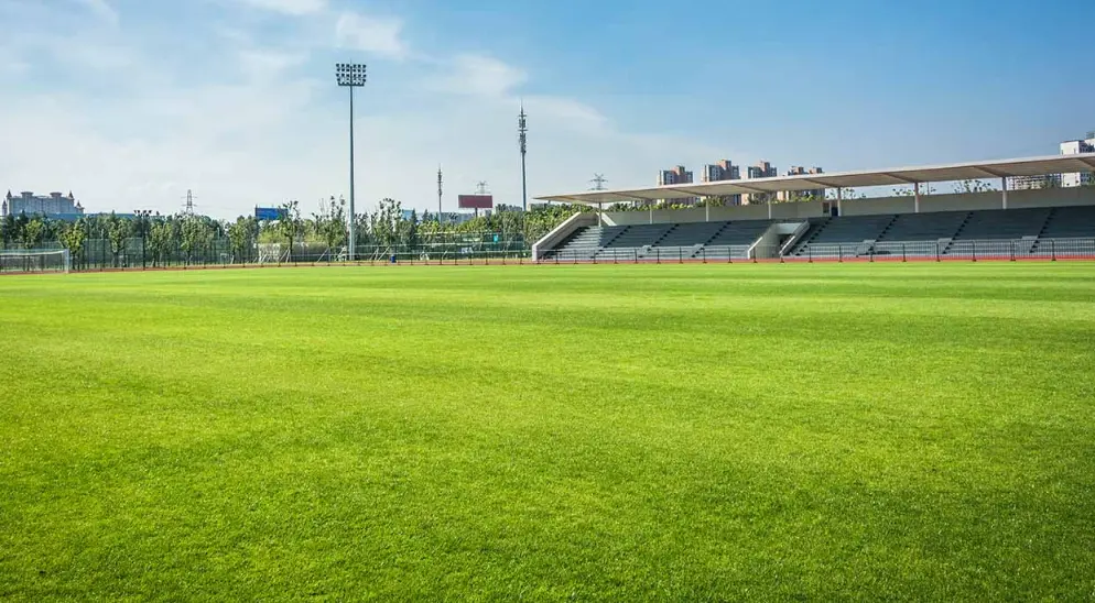 Consultoria para Campos Esportivos