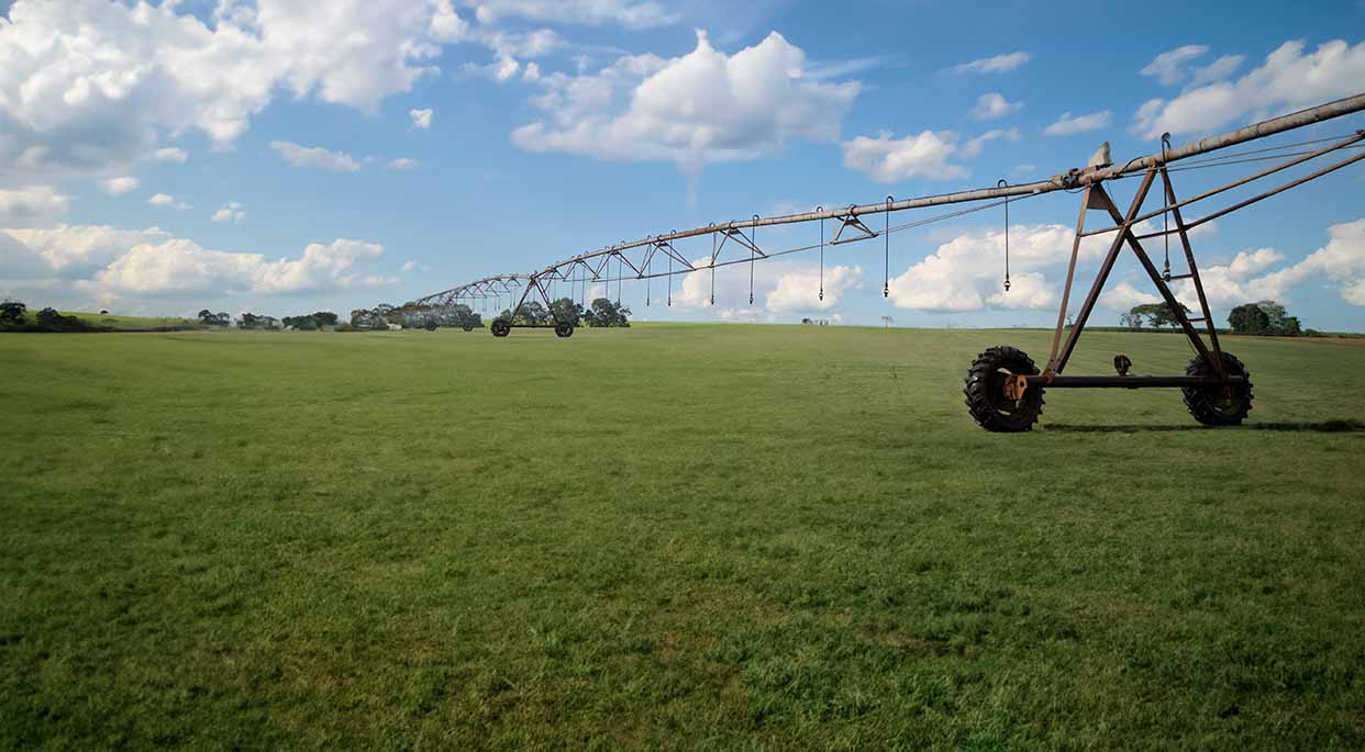 fundo-do-campo-de-produção-paisagem-da-producao-de-grama-no-dia-ensolarado