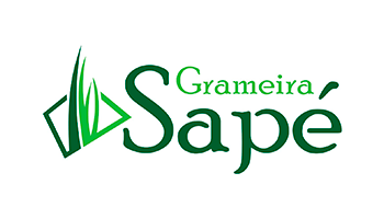 Grameira Sapé