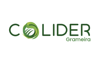 Grameira Colider